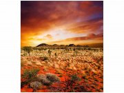 Flis foto tapeta Australija MS30050 | 225x250 cm Od flisa