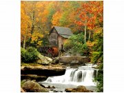 Flis foto tapeta Mlin v šumi MS30056 | 225x250 cm Od flisa