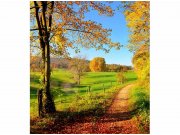Flis foto tapeta Livada MS30066 | 225x250 cm Od flisa
