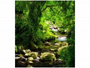 Flis foto tapeta Planinski potok MS30079 | 225x250 cm Od flisa