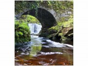 Flis foto tapeta Irska MS30081 | 225x250 cm Od flisa