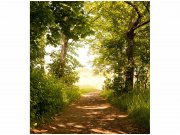 Flis foto tapeta Šumska staza MS30093 | 225x250 cm Od flisa