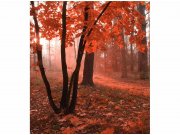 Flis foto tapeta Šuma u magli MS30095 | 225x250 cm Od flisa