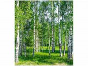 Flis foto tapeta Brezov lug MS30100 | 225x250 cm Od flisa
