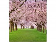 Flis foto tapeta Voćnjak sa trešnjama MS30105 | 225x250 cm Od flisa