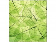 Flis foto tapeta Vene plahte MS30111 | 225x250 cm Od flisa