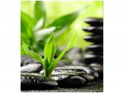 Flis foto tapeta Kamenje Zen MS30116 | 225x250 cm Od flisa