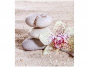 Flis foto tapeta Zen MS30118 | 225x250 cm Od flisa