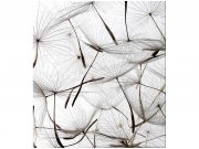 Flis foto tapeta Paperje maslačka MS30122 | 225x250 cm Od flisa