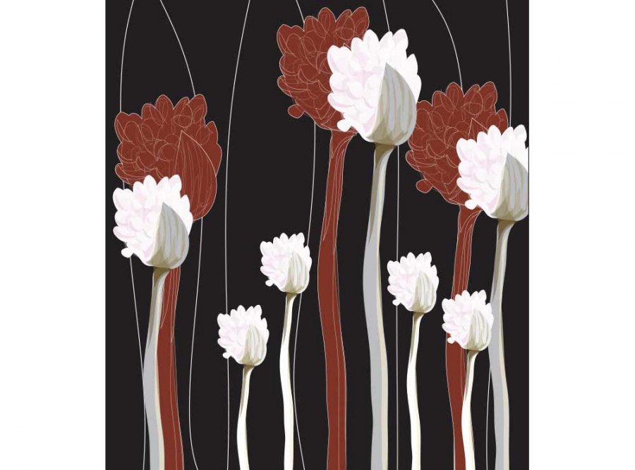 Flis foto tapeta Cvijeće na crnoj pozadini MS30155 | 225x250 cm - Od flisa