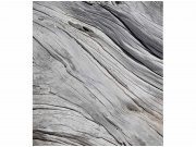 Flis foto tapeta Struktura stabla MS30160 | 225x250 cm Od flisa