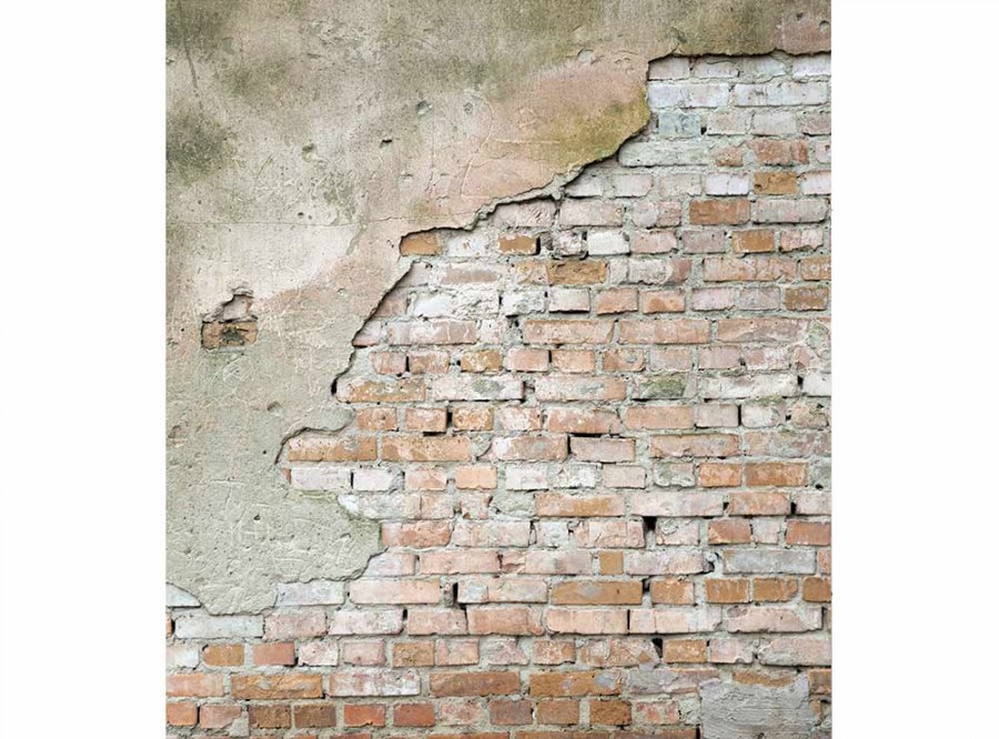 Flis foto tapeta Špricani zid MS30168 | 225x250 cm