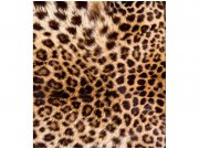 Flis foto tapeta Leopardna koža MS30184 | 225x250 cm Od flisa