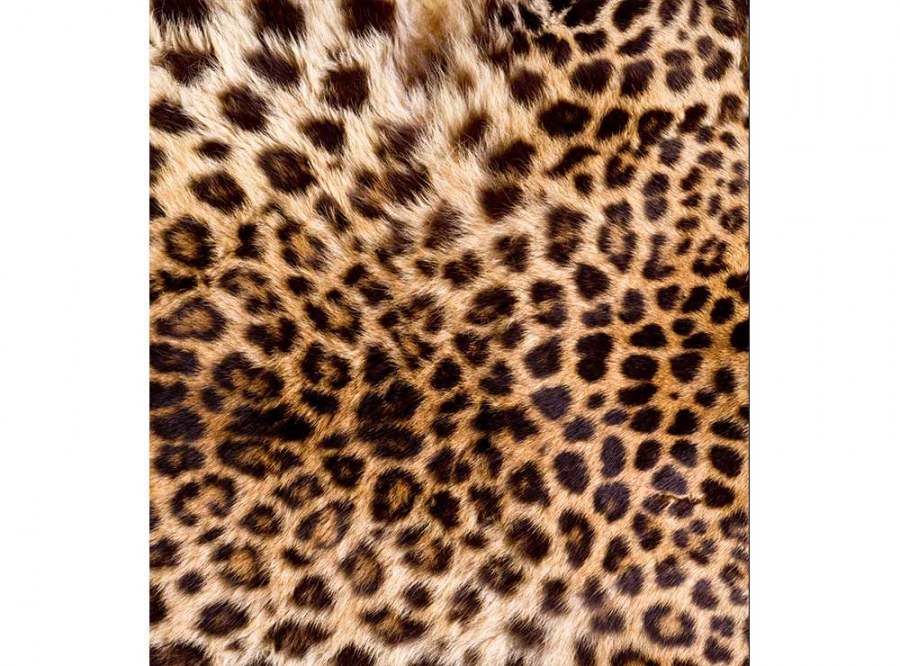 Flis foto tapeta Leopardna koža MS30184 | 225x250 cm