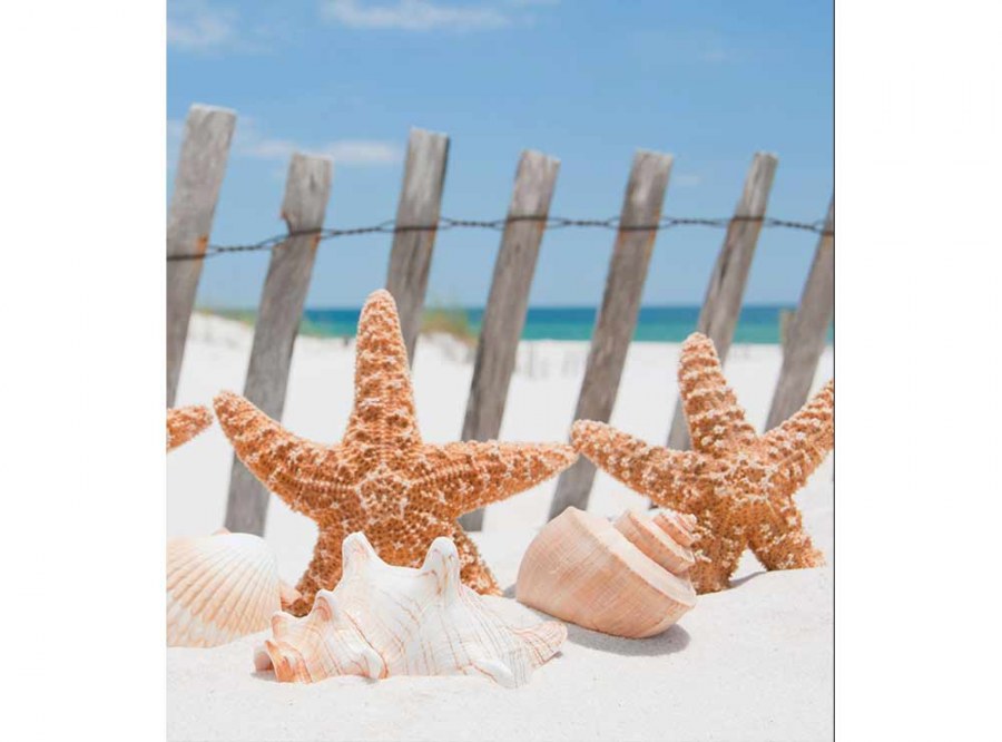 Flis foto tapeta Zvjezdice na plaži MS30206 | 225x250 cm - Od flisa