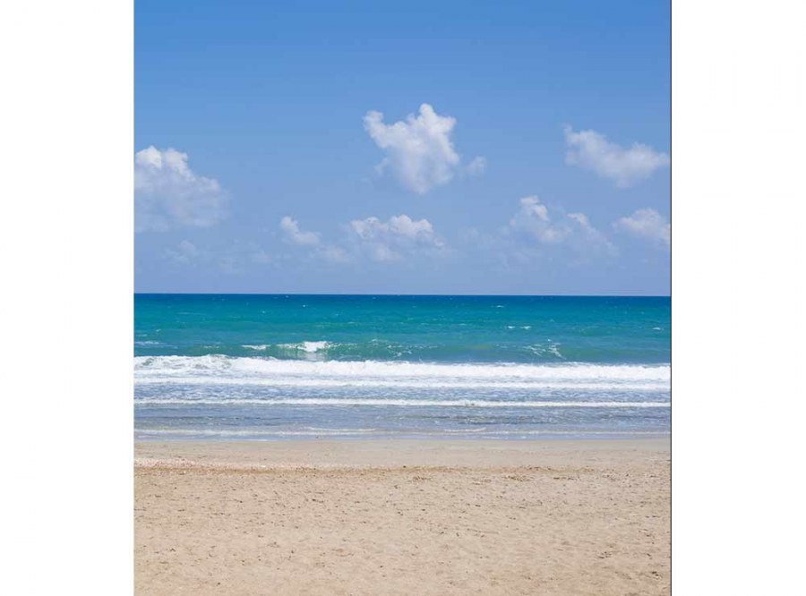 Flis foto tapeta Plaža MS30210 | 225x250 cm - Od flisa