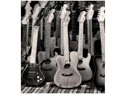 Flis foto tapeta Kolekcija gitara MS30303 | 225x250 cm Od flisa