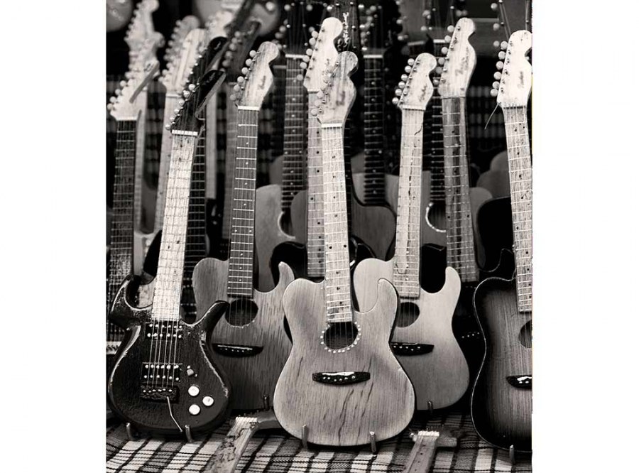 Flis foto tapeta Kolekcija gitara MS30303 | 225x250 cm - Od flisa