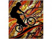 Flis foto tapeta Crveni bicikl MS30327 | 225x250 cm Od flisa