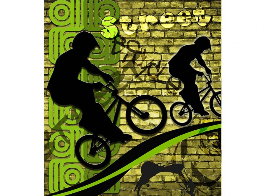 Flis foto tapeta Zeleni bicikl MS30328 | 225x250 cm - Od flisa