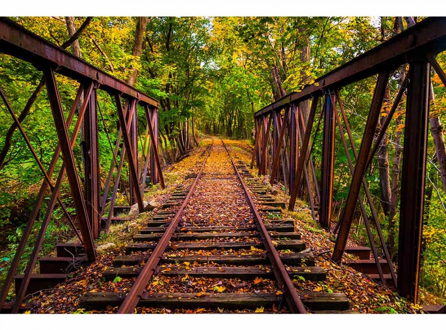 Flis foto tapeta Željeznica u šumi MS50055 | 375x250 cm - Od flisa