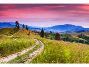 Flis foto tapeta Priroda u zori MS50061 | 375x250 cm Od flisa
