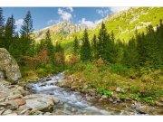 Flis foto tapeta Dolina MS50077 | 375x250 cm Od flisa