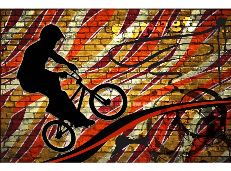Flis foto tapeta Crveni bicikl MS50327 | 375x250 cm - Od flisa