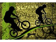 Flis foto tapeta Zeleni bicikl MS50328 | 375x250 cm Flis