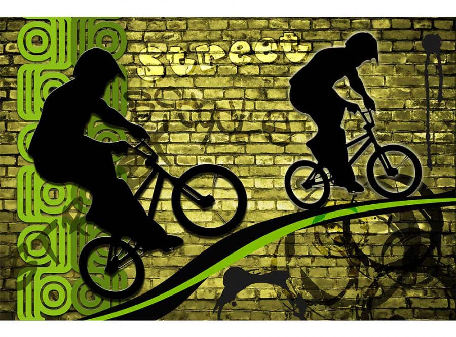 Flis foto tapeta Zeleni bicikl MS50328 | 375x250 cm - Od flisa