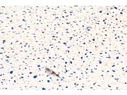 Samoljepljiva folija Terrazzo neo 200-8347 d-c-fix, širina 67,5 cm Mramor i Pločice