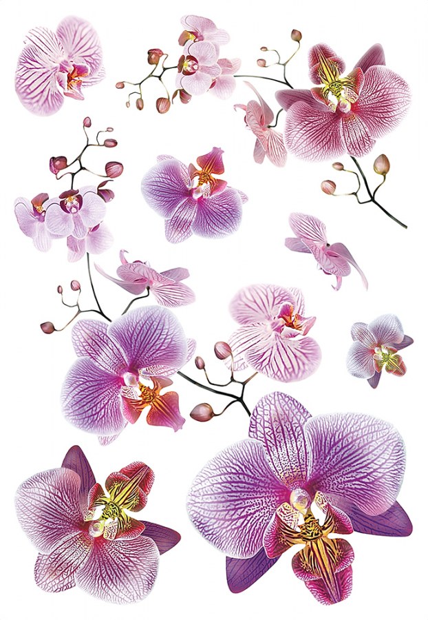 Samoljepljiva dekoracija OrhidejaSM-3440, dimenzije 42,5 x 65 cm