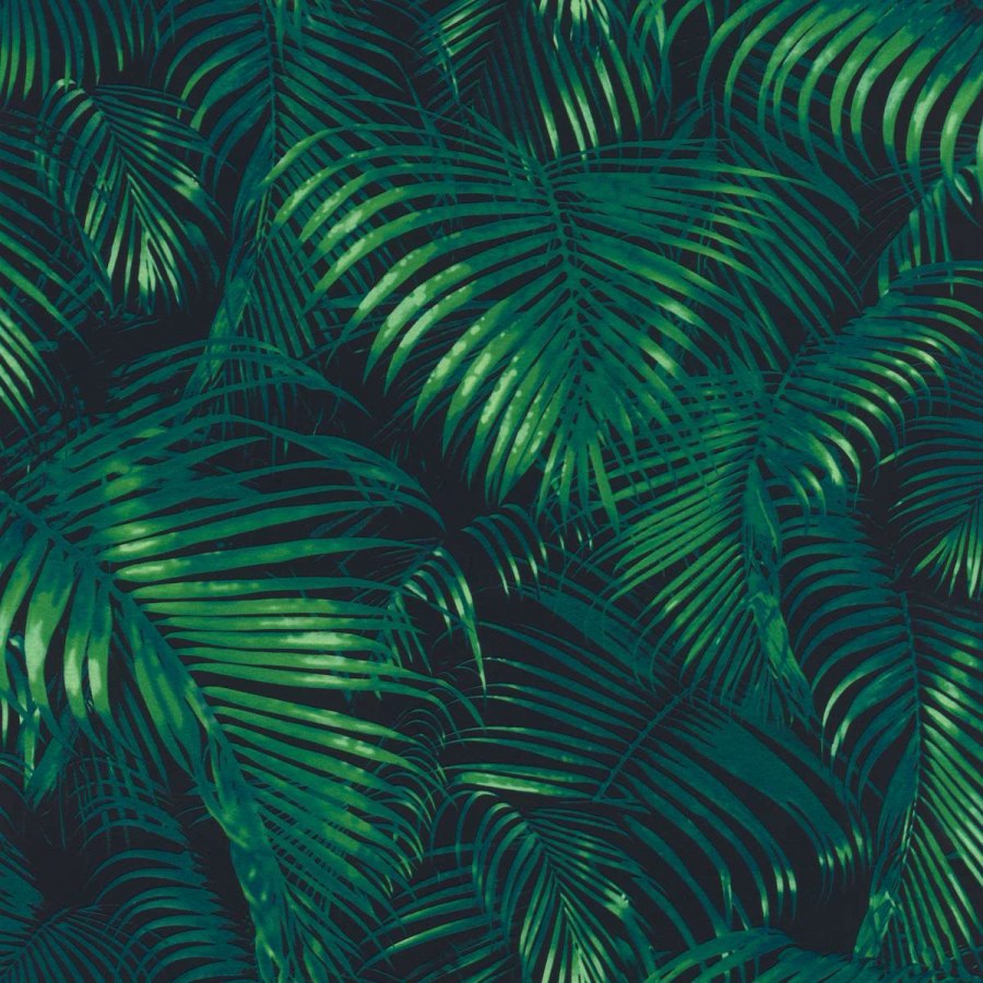 Zidna flis tapeta palmino lišće Sansa 822908 | Ljepilo besplatno