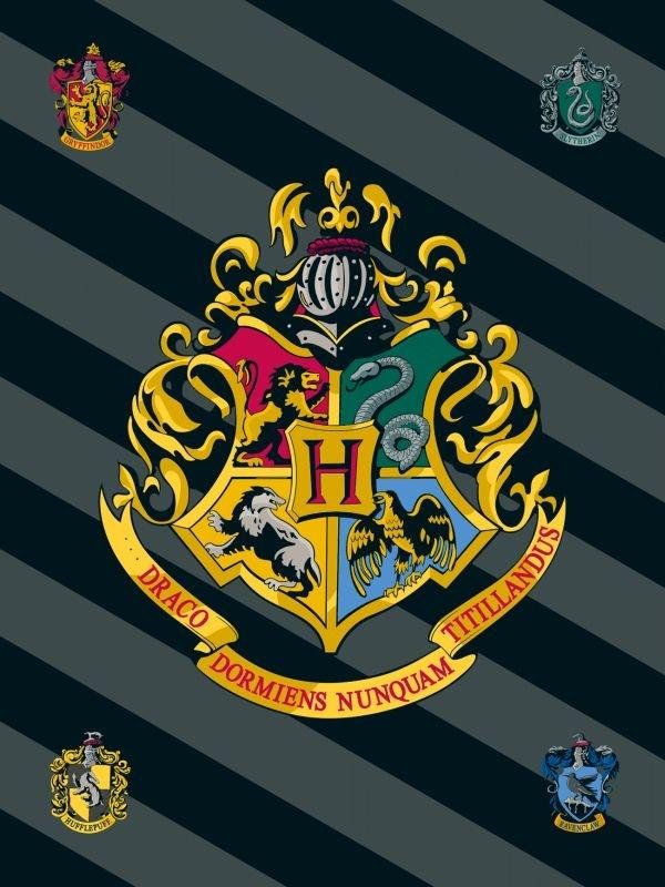 JERRY TKANINE Deka od flisa Harry Potter HP067 Poliester, 100/150 cm - deke od flisa