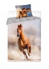 FARO Posteljina Konj na plaži Pamuk, 140/200, 70/90 cm Posteljina foto print