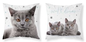 DETEXPOL Navlaka za jastuk mačka siva mikro poliester, 40/40 cm Jastučići - pokrivači za jastuke