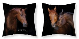 DETEXPOL Jastučnica Horses Live mikro poliester, 40/40 cm Jastučići - pokrivači za jastuke