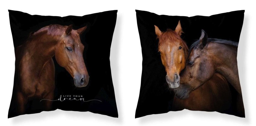 DETEXPOL Jastučnica Horses Live mikro poliester, 40/40 cm - pokrivači za jastuke
