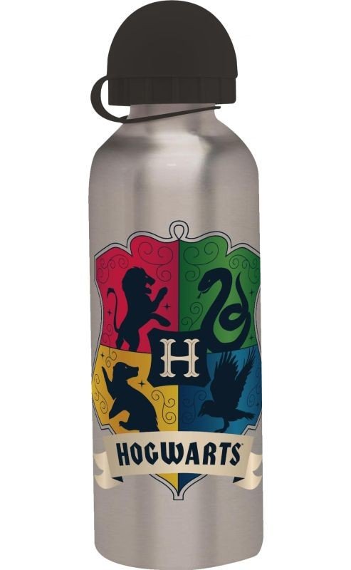 EUROSWAN ALU boca Harry Potter srebrna aluminij, plastika, 500 ml