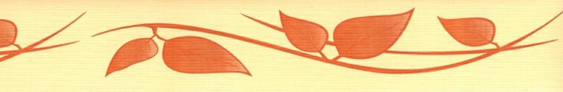 Samoljepljiva bordura Narančasti plahtaovi SB02-403, 5 cm x 10 m