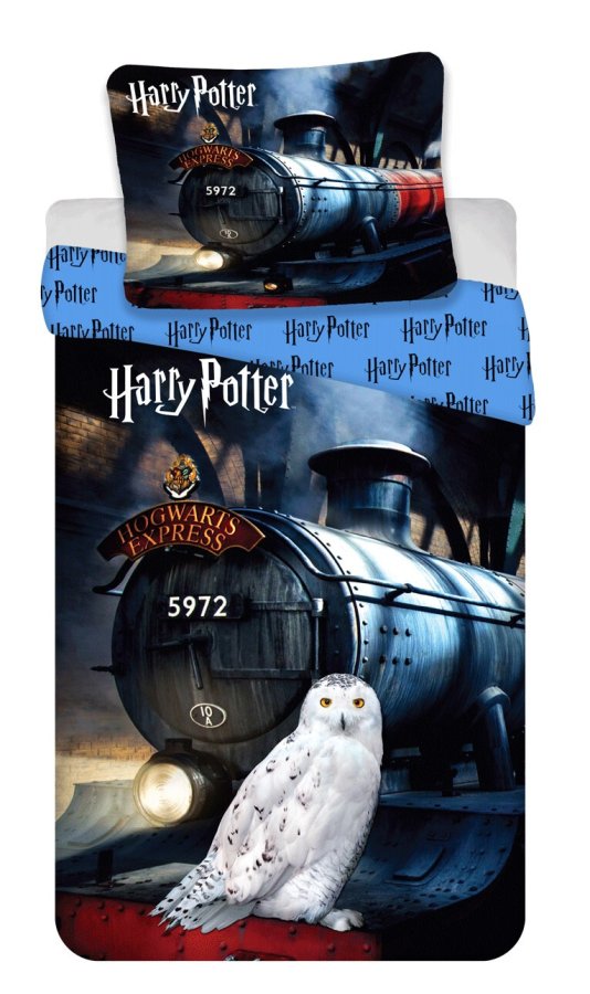 Posteljina Harry Potter 111 140x200, 70x90 cm - Licencirana posteljina