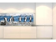 Samoljepljiva fototapeta za kuhinju KI-180-112 Pingvini | 180 x 60 cm Samoljepljive - Za kuhinje