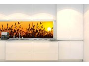 Samoljepljiva fototapeta za kuhinju KI-180-128 Trsje | 180 x 60 cm Samoljepljive - Za kuhinje