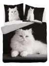 DETEXPOL Francuska posteljina Persijska mačka Bavlna, 220/200, 2x70/80 cm Posteljina foto print