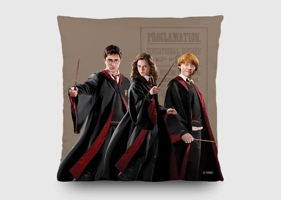 Dekorativni jastuk Harry Potter CND3155 | 40 x 40 cm - Dekorativni jastuci