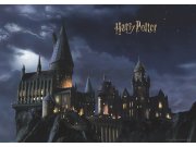 Dječja fototapeta Harry Potter FTDXL1965 | 252 x 182 cm Fototapete