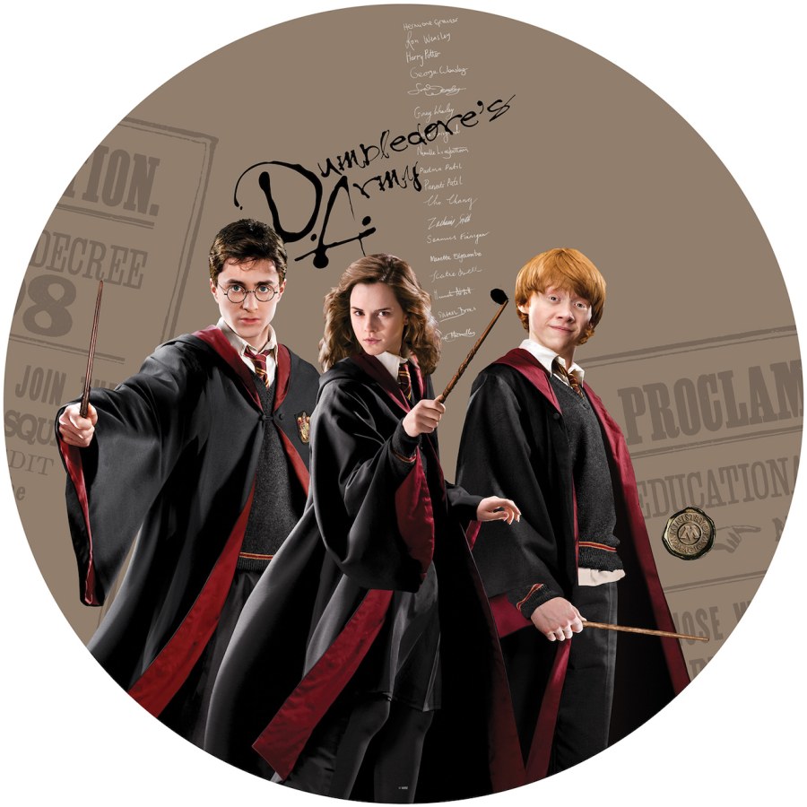 Samoljepljiva dekoracija Harry Potter CRD5805 | promjer 70 cm - Naljepnice za dječju sobu