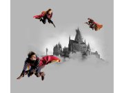 Foto zavjese Harry Potter FCSXL6609 | 180 x 160 Foto zavjese