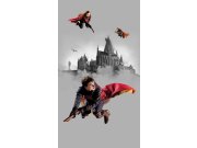 Dječja flis fototapeta Harry Potter FTD2P5613 | 150 x 270 cm Fototapete