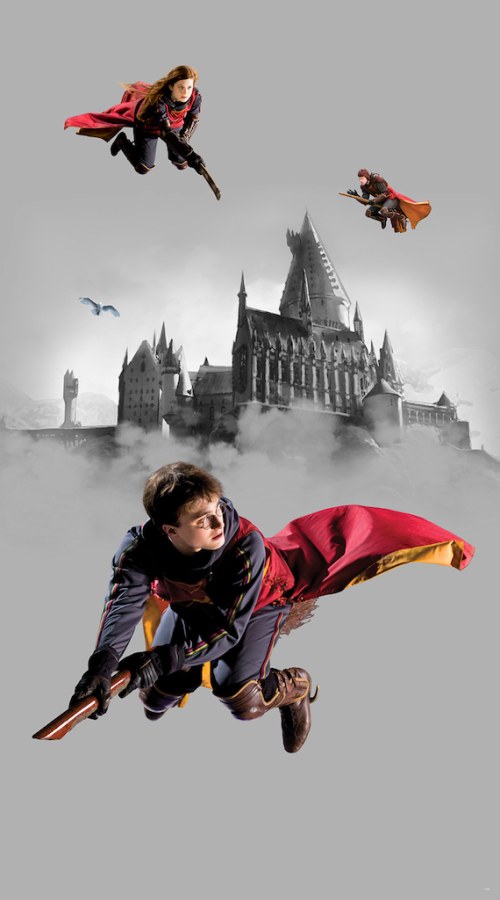 Dječja flis fototapeta Harry Potter FTD2P5613 | 150 x 270 cm - Fototapete